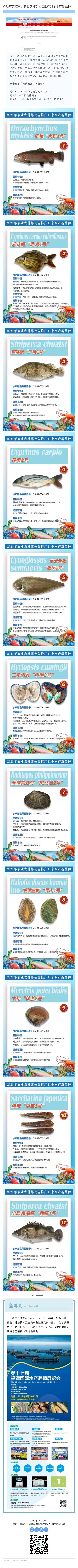 135editor_08100921_6111d4a9ba34020210810092145