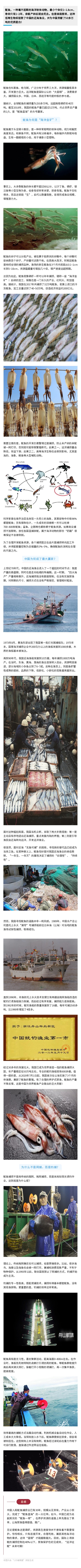 135editor_01101051_61db9f32b03de20220110105130