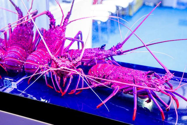 5F2A0614_Jfoto_20250613_-1852561822