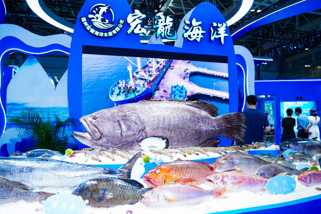 FHH05393_Jfoto_20250613_525825