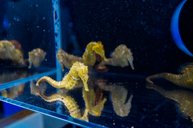 HYN_5686_Jfoto5075_20230602_707122742