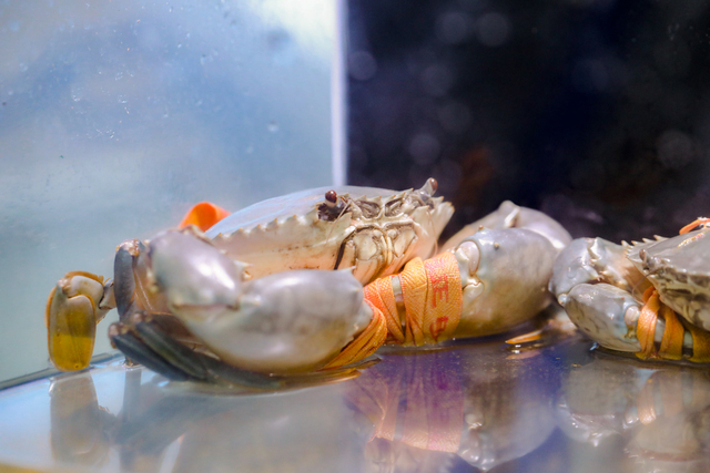 DFYX5130_Jfoto6530_20230602_1852751710