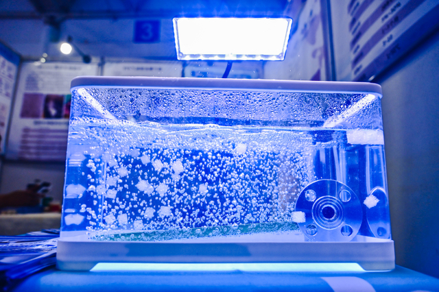 JYW_1394_Jfoto_20240531_690062706