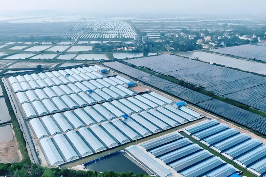 微信图片_2025-12-08_141311_079